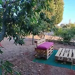 Trullo Del Leccio Da Madia * Locorotondo